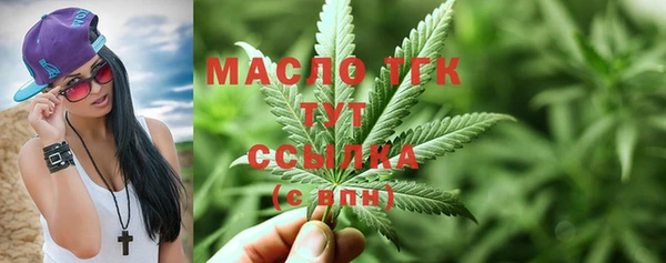 сатива Аркадак