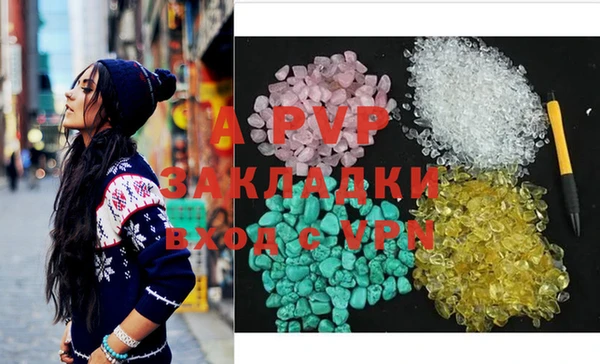 молекула духа Арсеньев
