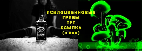 сатива Аркадак