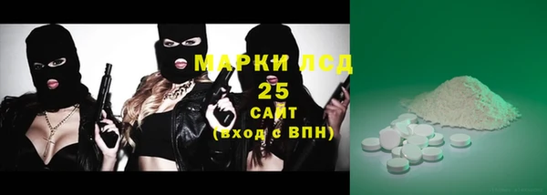 сатива Аркадак