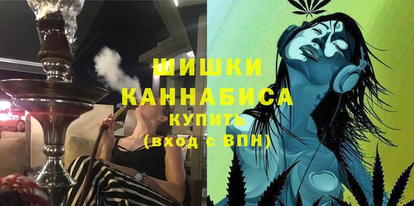 прущие грибы Баксан
