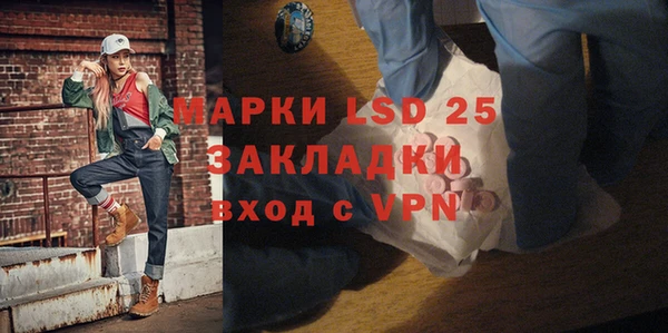молекула духа Арсеньев