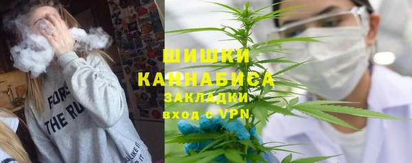 молекула духа Арсеньев