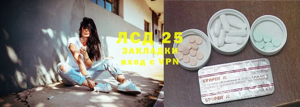 ПСИЛОЦИБИНОВЫЕ ГРИБЫ Балабаново