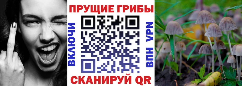 Галлюциногенные грибы Magic Shrooms  что такое наркотик  Белая Холуница 