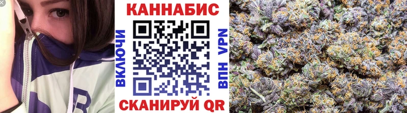 Канабис сатива где купить Белая Холуница